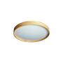 Imagem de Plafon Space 38Cm 32W Multicor