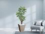 Imagem de Planta Artificial Árvore Palmeira Phoenix 1,77m kit + Vaso Trapezio D. Grafiato Bege 40cm