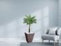 Imagem de Planta Artificial Árvore Palmeira Real Toque 1,2m kit + Vaso Trapezio D. Grafiato Marrom 40cm