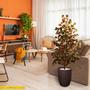 Imagem de Planta Artificial Árvore SCHEFFLERA BORDÔ com 1,60 metros de altura