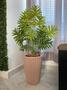 Imagem de Planta Artificial Bananinha Com Vaso Polietileno Romano