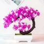 Imagem de Planta Artificial Bonsai - Estilo Crescente em Mil Camadas - Decoração para Casa