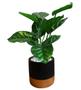 Imagem de Planta Artificial Decorativa Calathea