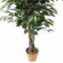 Imagem de Planta Artificial Ficus Just Home Collection