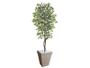 Imagem de Planta Artificial Ficus Verde Creme 2,10m kit + Vaso Trapezio D. Grafiato Bege 40cm