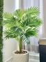 Imagem de Planta Artificial Palmeira Com Vaso Branco Completo