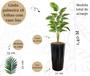 Imagem de Planta Artificial Palmeira Com Vaso Cone Polietileno Grande