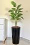 Imagem de Planta Artificial Palmeira Com Vaso Cone Polietileno Grande
