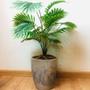 Imagem de Planta Artificial Palmeira Com Vaso Polietileno Completo