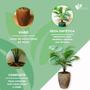 Imagem de Planta Artificial Palmeira Com Vaso Polietileno Completo