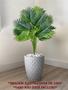 Imagem de Planta Artificial Palmeira Folhas Decoração Casa