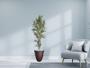 Imagem de Planta Árvore Artificial Bambu 2,11m Com Vaso Marrom 44