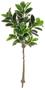 Imagem de Planta Àrvore Artificial Ficus Elástica Real Toque X82 Verde Creme 1,5m
