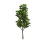 Imagem de Planta Árvore Artificial Ficus Lyrata Real Toque Verde 1,70m