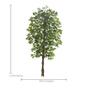 Imagem de Planta Árvore Artificial Ficus Verde 2 Tons 2,1m