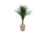 Imagem de Planta Árvore Artificial Yucca Verde 95cm Kit + Vaso E. Bege 32cm
