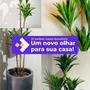 Imagem de Planta Dracena Artificial Variegata Vaso Grande Decoração