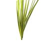 Imagem de Planta Folhagem Grass Verde 50cm