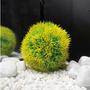 Imagem de Planta plastica soma musgo ball amarelo 13cm