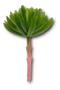 Imagem de Planta Suculenta Cacho De Banana Verde Artificial Decoração