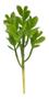 Imagem de Planta Suculenta Carnívora Artificial Verde Galho Decoração
