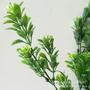 Imagem de Plantas Gypsophila Artificial Floral Folhagem P/ Decoração Casamento, Arranjos, e planta  MT1112-2