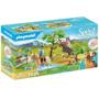 Imagem de Playmobil Spirit Desafio No Rio Dream Works Sunny 70330