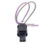 Imagem de Plug 02 Vias Sensor Temperatura Agile Cobalt Onix ETE5548