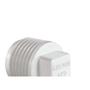 Imagem de Plug Branco Krona Rosca Rosca 3/4'' 294 ./ Kit Com 50