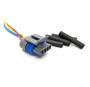 Imagem de Plug Chicote Sensor Map Towner Van/Effa Delph/320/Topic