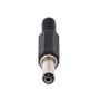 Imagem de Plug P4 Rabicho Longo