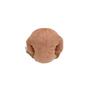 Imagem de Pokemon Hitmonlee 5 polegadas Sentado Cuties Plush