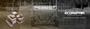 Imagem de Polia tensor correia Poly-V Ssang Yong Actyon Rexton- Febest