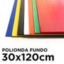 Imagem de Polionda Forro para Fundo de Cercado Pet 30x120