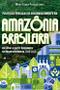 Imagem de Políticas Públicas de Desenvolvimento na Amazônia Brasileira: Um olhar a partir dos planos de desenvolvimento (1946-2023)