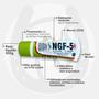 Imagem de Pomada Ngf-5 (kit com 3 unidades)