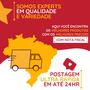Imagem de Porta biscoito e torradas de plastico multiuso c/ divisorias