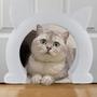 Imagem de Porta interior grande Cat Door Wordcam para gatos XL