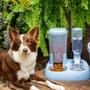 Imagem de Porta ração e água comedouro cachorro duplo bebedouro automático dispenser alimentador gato cães