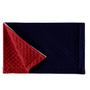 Imagem de Porta Travesseiro Pratik Azul Marinho/Vermelho Avulso Dupla Face c/ Zíper - Microfibra