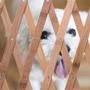 Imagem de Portao Retratil Cachorro Pet Coelho Criança Bebe Grade Safonada Bambu Ajustavel Cercadinho Barramento Segurança Previne Acidentes