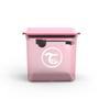 Imagem de Pote Hermético Container Para Formula Rosa 1700Ml Twistshake