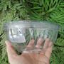 Imagem de Pote Redondo Saladeira 1000ml Tampa com Lacre F261 Fibraform c/50 un