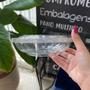Imagem de Pote Redondo Saladeira 500ml Tampa com Lacre F251 Fibraform c/50 un