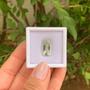Imagem de Prasiolita Cushion 9,21ct
