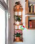 Imagem de Prateleira, floreira, jardim vertical, painel de plantas P7