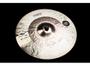 Imagem de Prato Domene Cymbals Ride Dna Series 20 Bronze B20