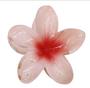 Imagem de Presilha de Cabelo Flor Tendência Blogueiras
