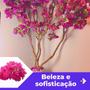 Imagem de Primavera Bougainvílle Artificial Decoração 3 Galhos Flores.