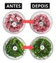 Imagem de Processador Triturador Alimentos Alho Cebola 500ml 3 Lâminas